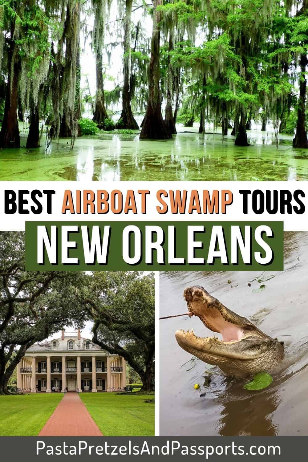 New-Orleans-Swamp-Tours-Pinterest-Pin-1