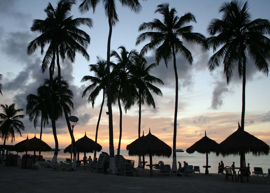 Aruba with Kids - palm trees at sunset