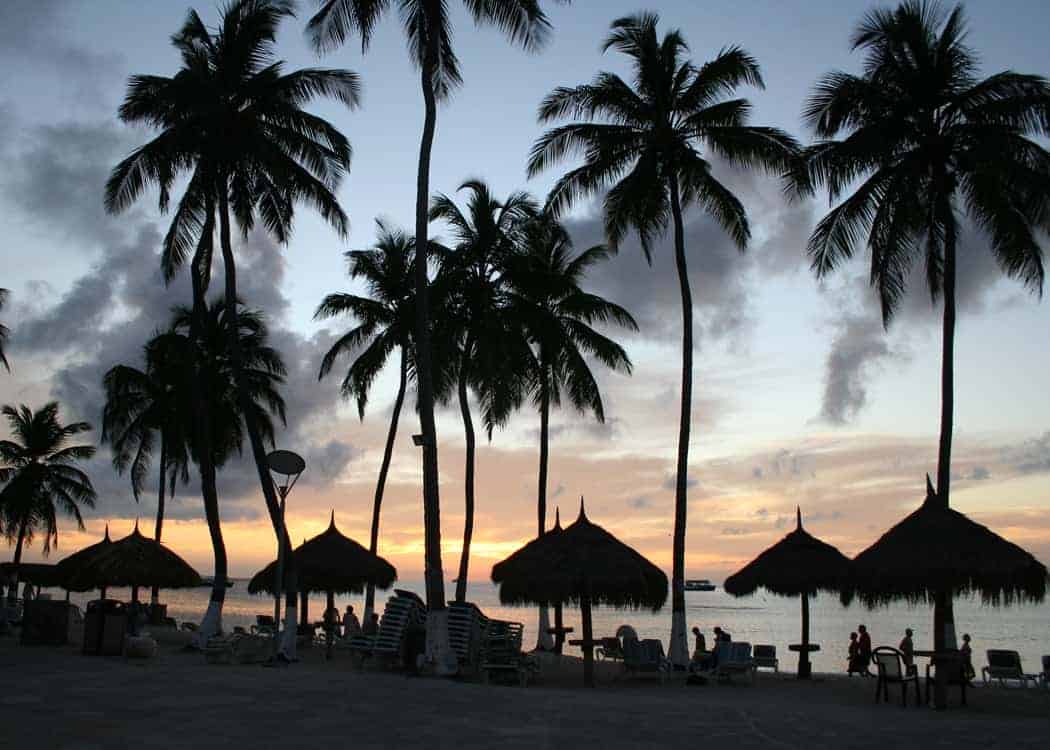 Aruba-with-Kids-palm-trees-at-sunset