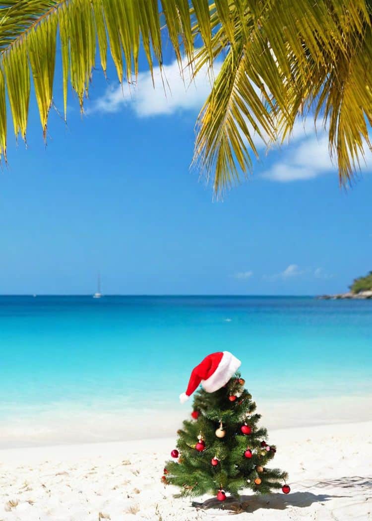 Christmas Tree on Beach