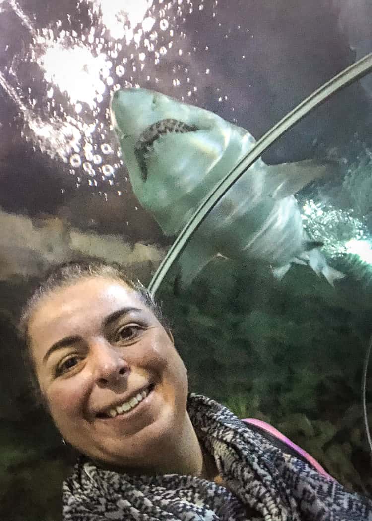 Cleveland-Aquarium-shark-tube