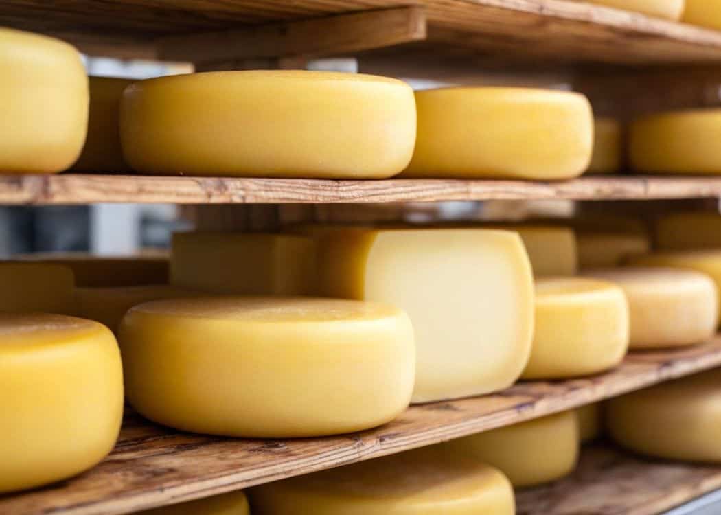 Yellow Cheese rounds on wooden shelf