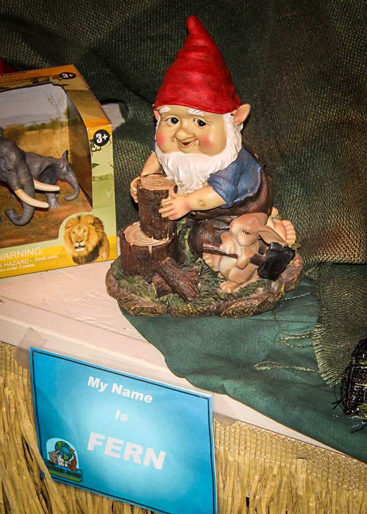 Frankenmuth-Gnome-Search-Fern