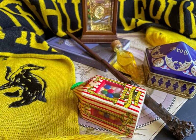 Harry-Potter-Souvenirs-Many-souvenirs