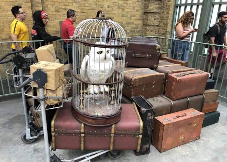 Wizarding-World-pile-of-luggage-with-Hedwig